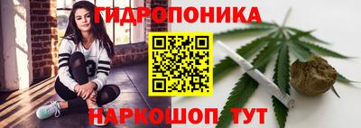 PSILOCYBIN Канаш