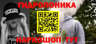 круглые Камышлов