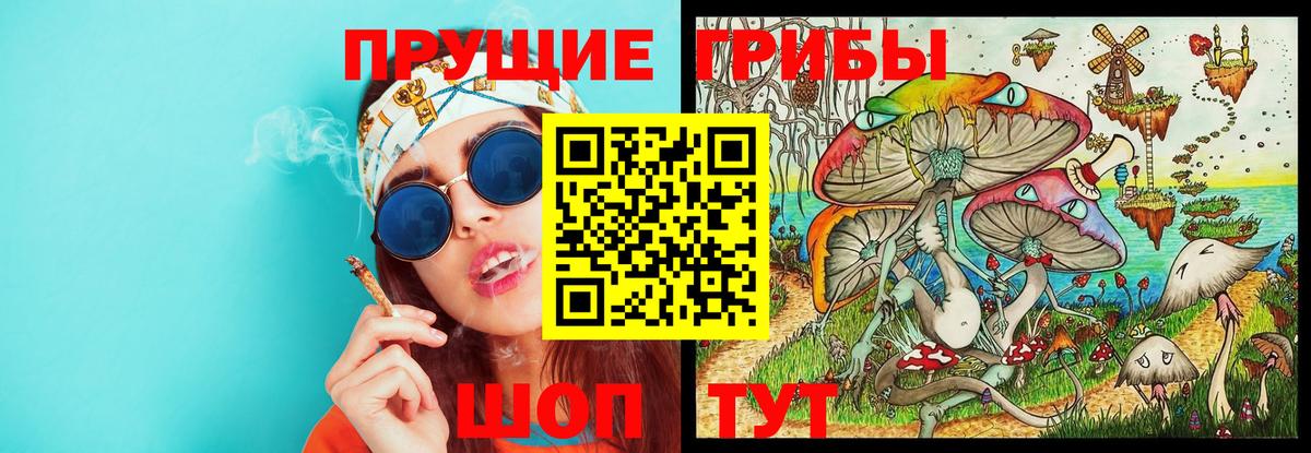 Кудымкар  Псилоцибиновые грибы ЛСД  Вход с VPN  Псилоцибиновые грибы Psilocybine cubensis 