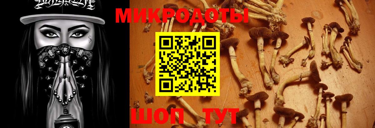 Псилоцибиновые грибы мухоморы Кудымкар
